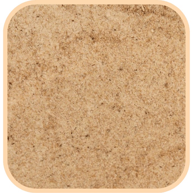 (image for) Wholemeal Plain Flour